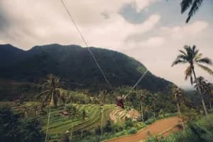 Real Bali Swing