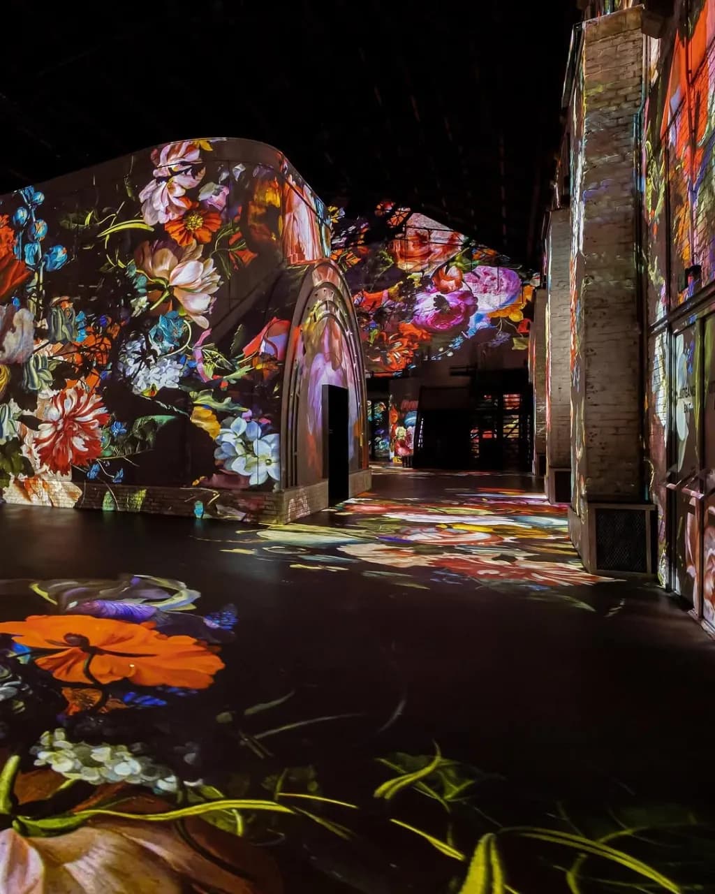 Fabrique des Lumières 3