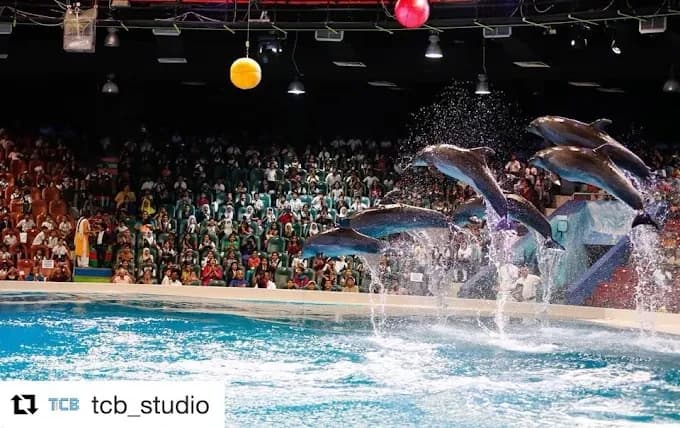 Dubai Dolphinarium 3
