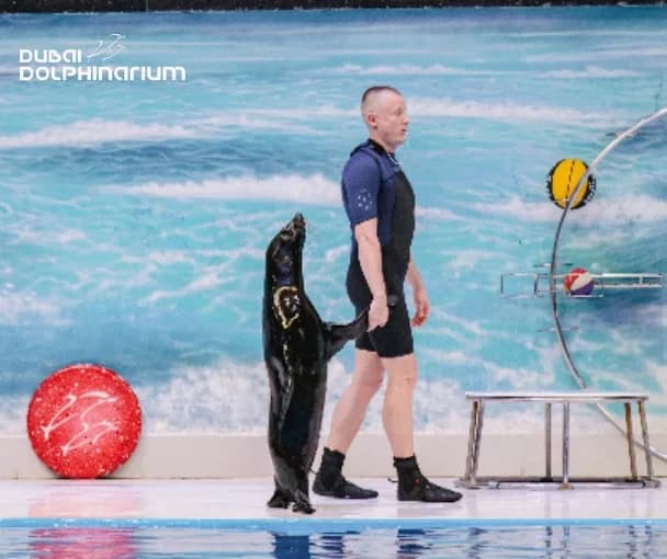 Dubai Dolphinarium 5