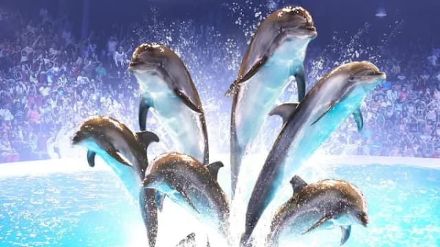 Dubai Dolphinarium thumb 1