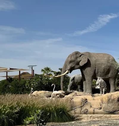 Dubai Safari Park 7