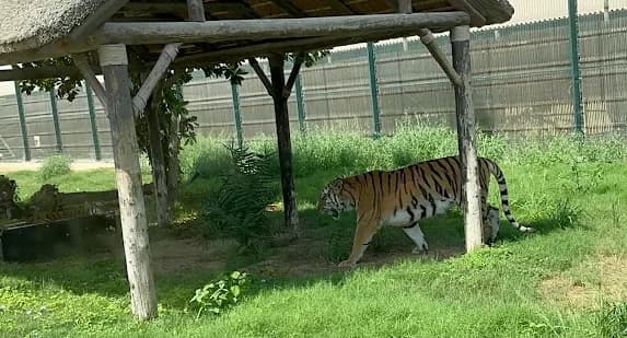 Dubai Safari Park thumb 2