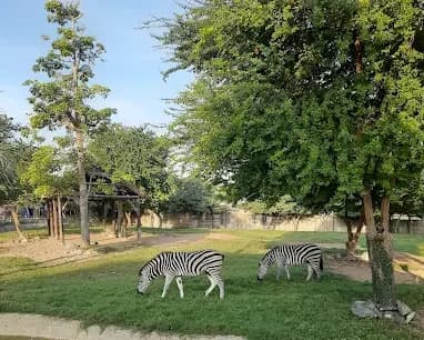 Dubai Safari Park 4