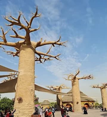 Dubai Safari Park 8