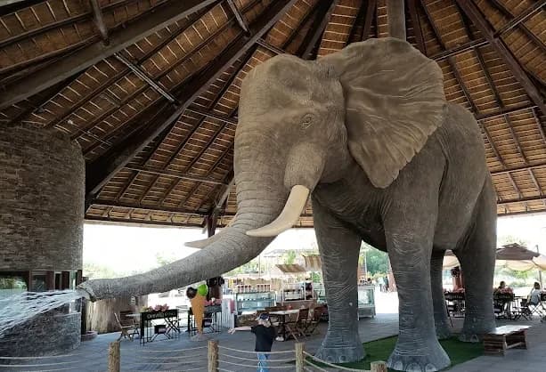 Dubai Safari Park 1