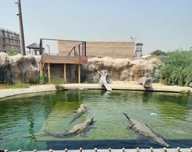 Dubai Safari Park thumb 6