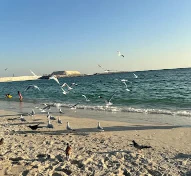 Public Beach thumb 5