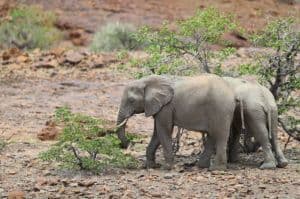 9-Day Self-Drive Adventure in Namibia: Explore at Your Own Pace