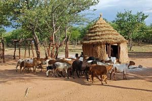 Epic 11-Day Namibia Self-Drive Adventure in a 4×4