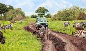 Budget Private Safari: 5 Days Northern Tanzania