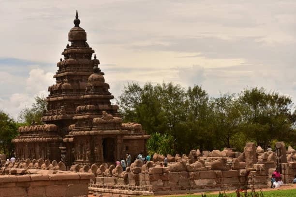 Top Cultural Festivals in Tamil Nadu, India