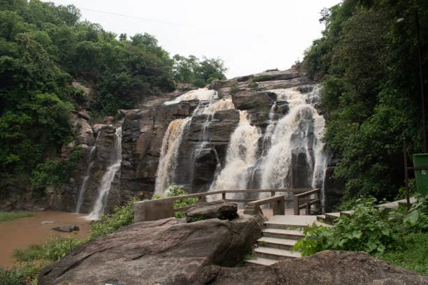 Wildlife Safaris in Jharkhand, India