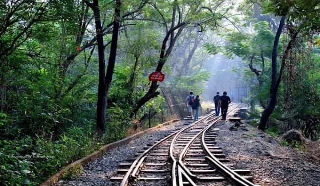 Sanjay Gandhi National Park Mumbai thumb 1
