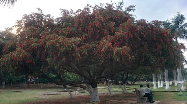 Leisure Valley Park Gurgaon thumb 4