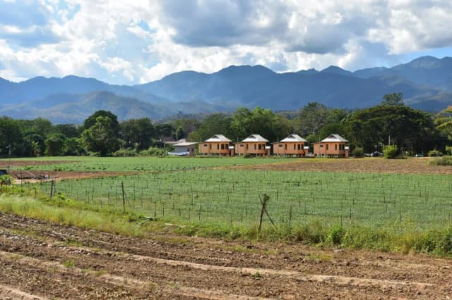 Pai’s Scenic Beauty, Pai thumb 1