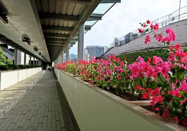 Ho Man Tin Metro Station thumb 3