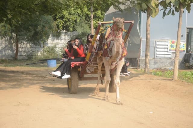 Lohagarh Farms thumb 4