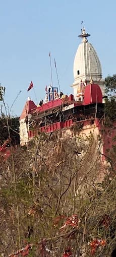 Maa Mansa Devi Temple, Haridwar thumb 3