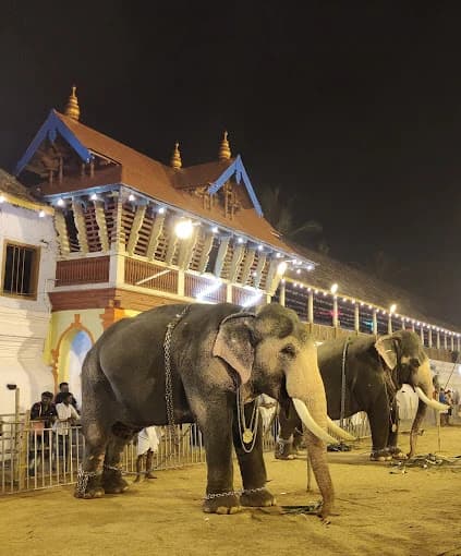 Sree Poornathrayeesa Temple thripunithura thumb 3