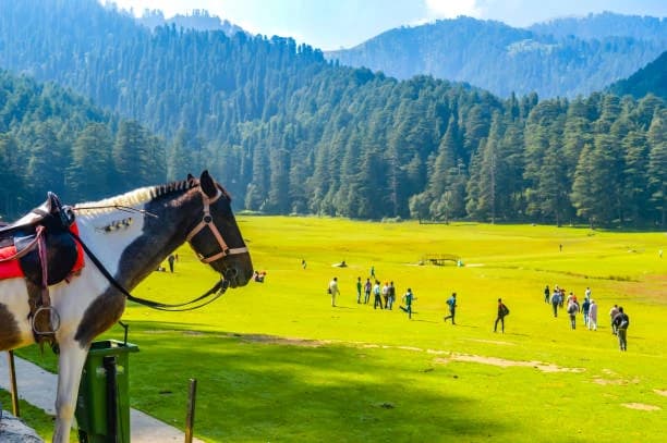Khajjiar Travel Guide 2025