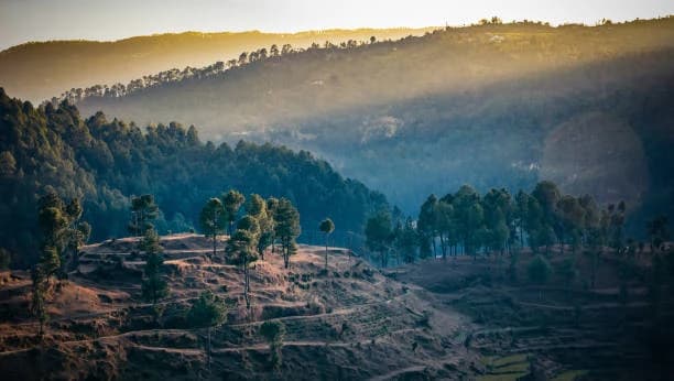 Naldehra Travel Guide 2025