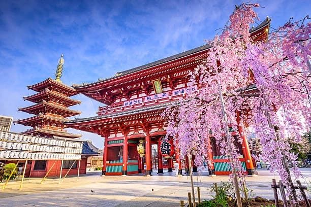 Tokyo Travel Guide 2025