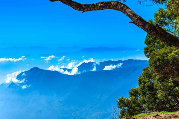 Kodaikanal Trekking Trails