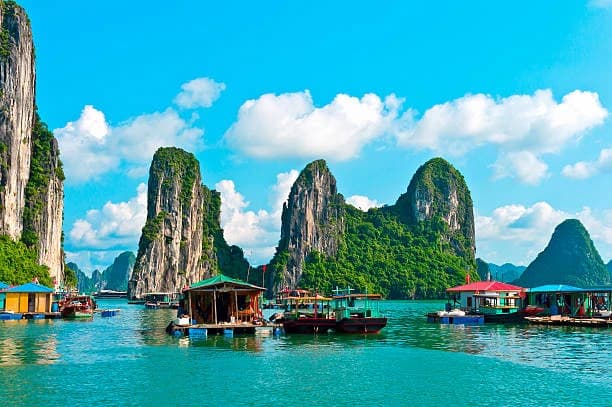 Why Not Go to Vietnam?