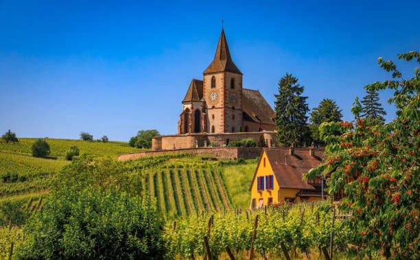 Wine Trails France: Discover Vineyards Across Regions