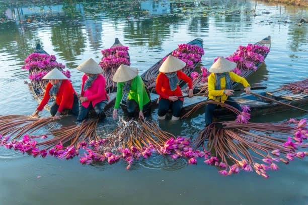 Cultural Immersion: Living Like a Local in Vietnam