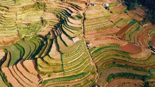Tamil Nadu – Land of Ancient Temples and Timeless Culture