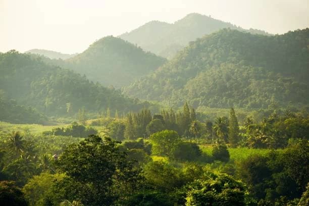 Khao Yai National Park