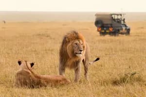 Kenya Safari & Lamu Island Tour 10-Day Adventure