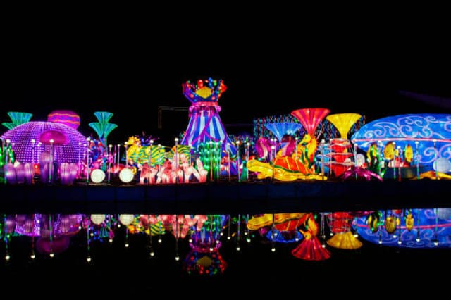 Dubai Garden Glow