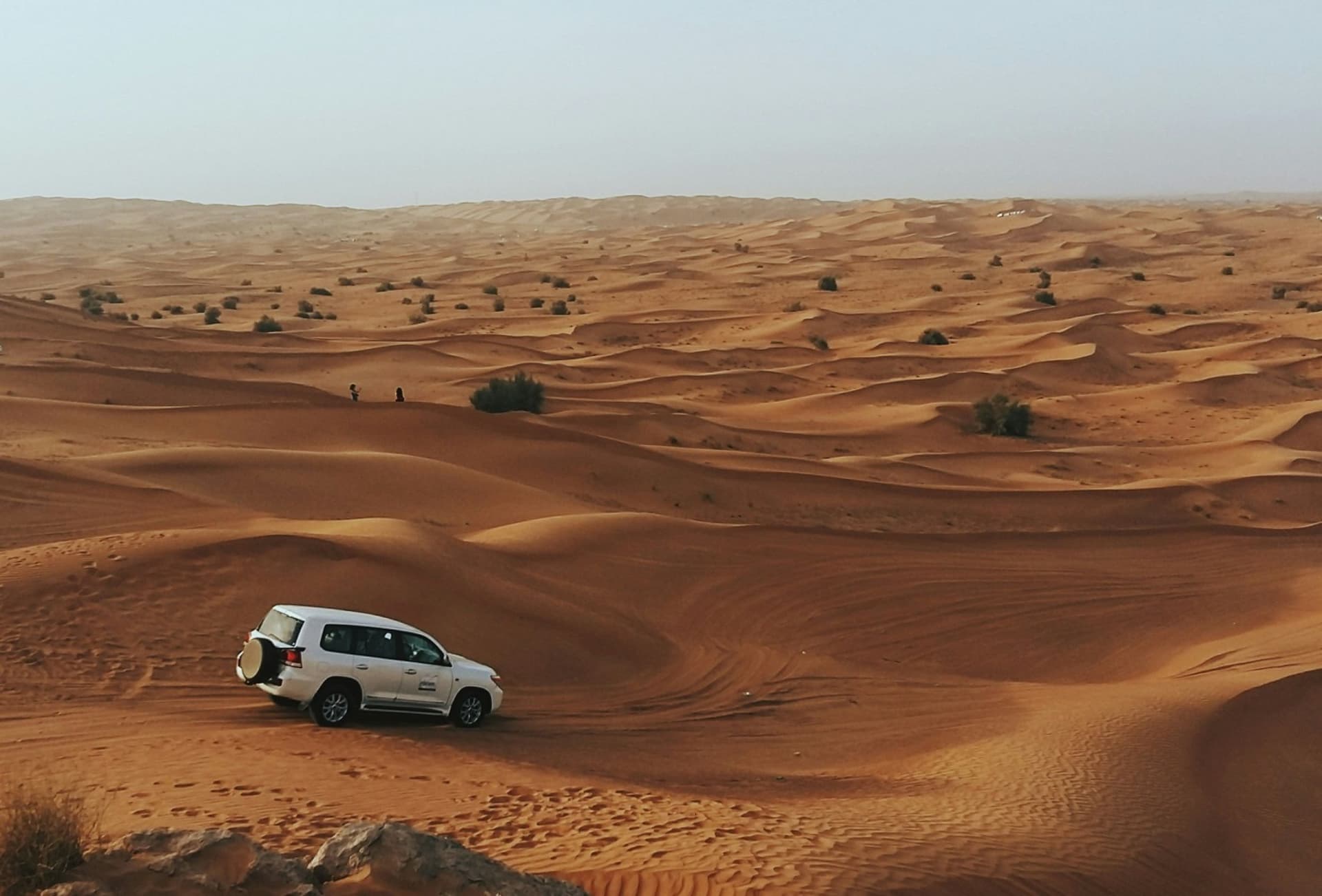 Desert Safari in Dubai