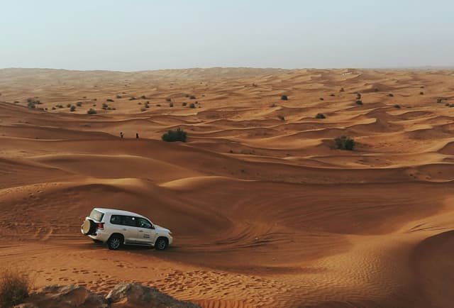 Desert Safari in Dubai