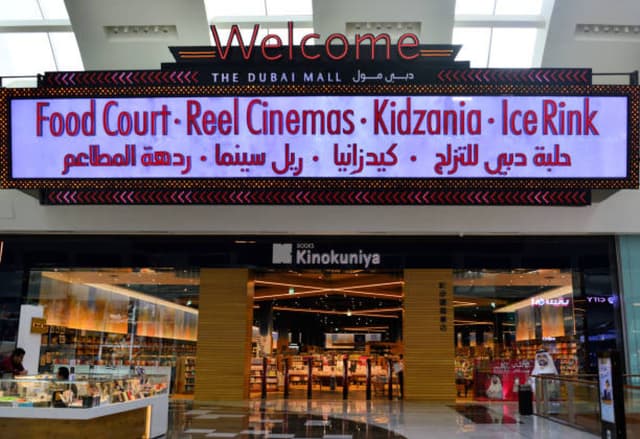 The Dubai Ice Rink