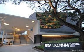 The Lee Kong Chian Natural History Museum Singapore
