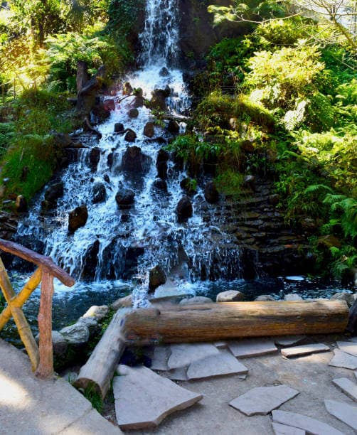 Company Garden Mussoorie
