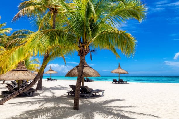 Tropical Bliss Awaits: Your Guide to a Mauritius Adventure