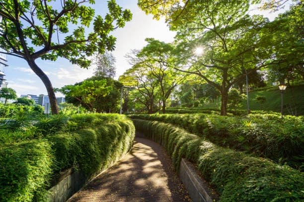 Fort Canning Park 2