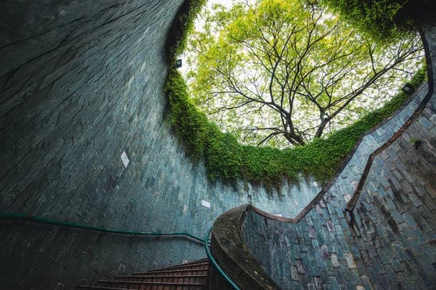 Fort Canning Park 4