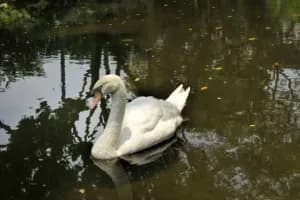 River Wonders