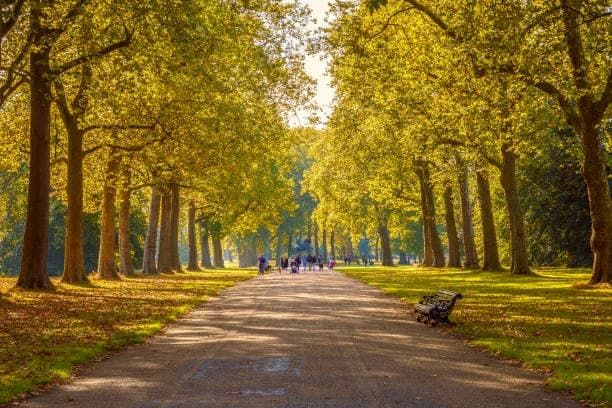 Hyde Park thumb 1